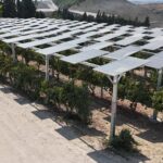 Agro Sahaları 3 (1)