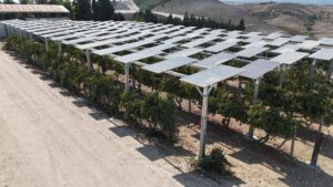 Agro Sahaları 3 (1)