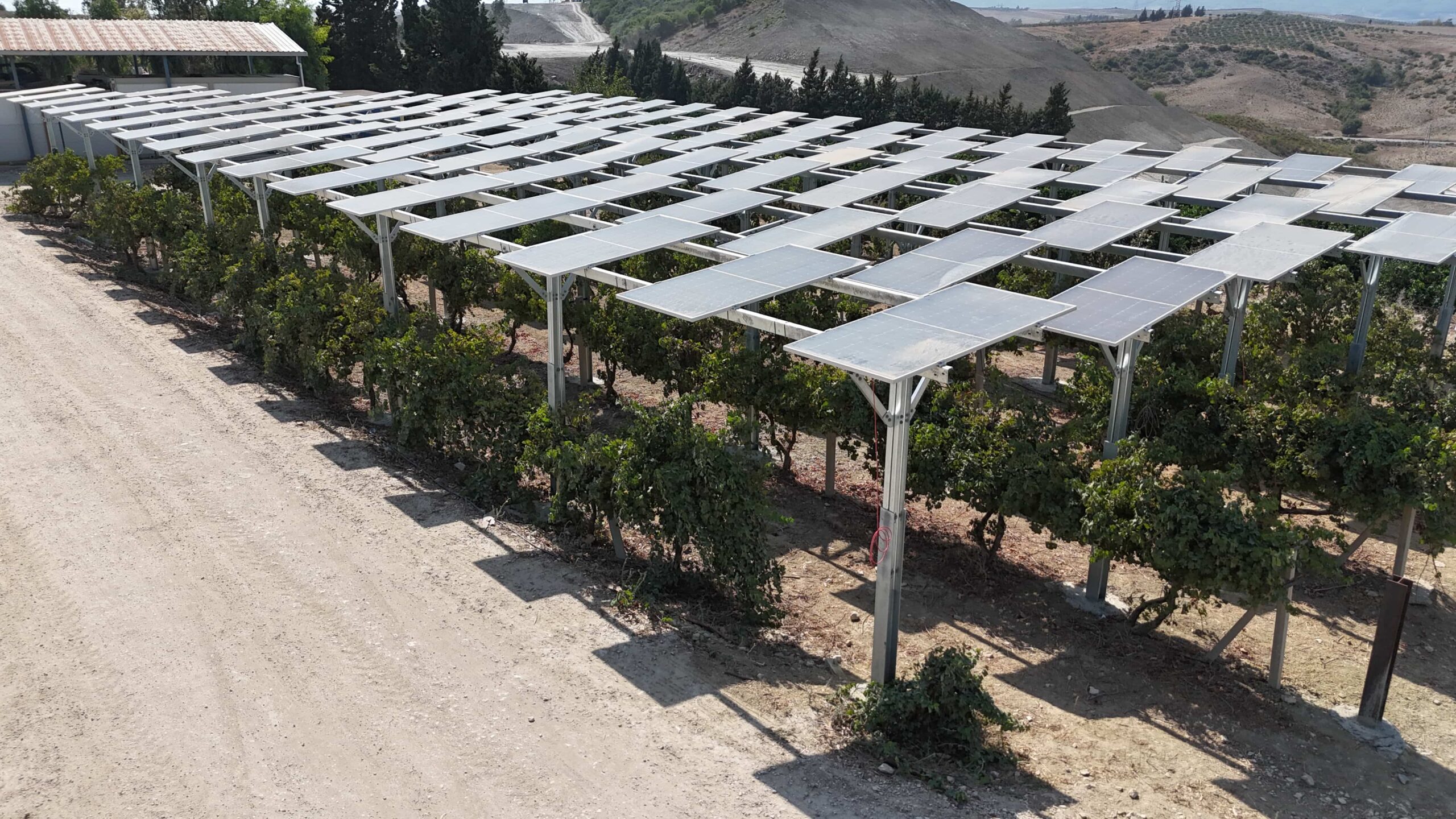 Agro Sahaları 3 (1)